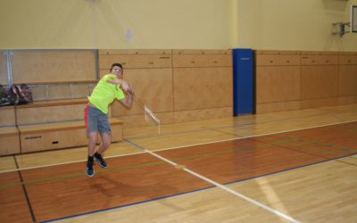 Badminton 2019 – Področno tekmovanje